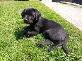 Mon 1er jour dans ma famille d'accueil : Quentin, Clotilde et Christophe