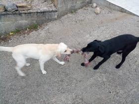 Les photos quand je fais mes exercices