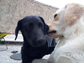 Mon Grand copain Ouke