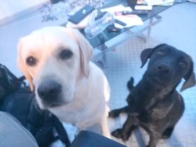 Salle de jeux, repos pour moi et de travail pour christophe